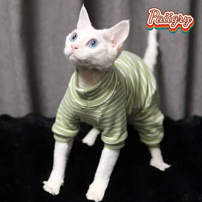 Hairless cat clothes