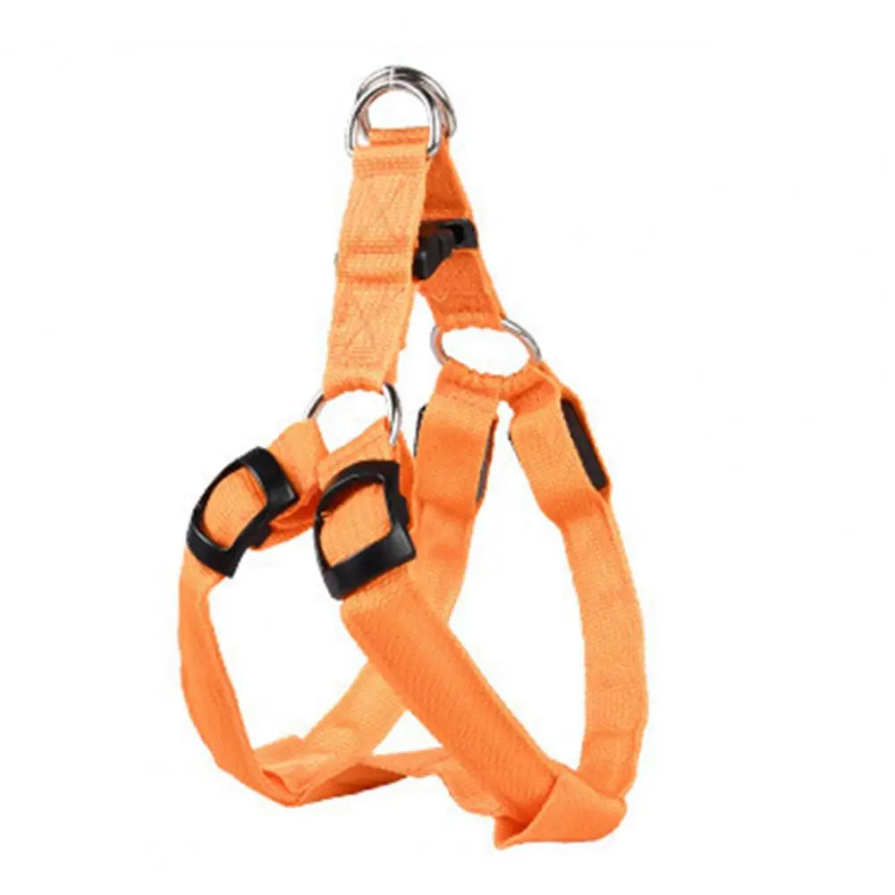 Harness USB Rechargeable