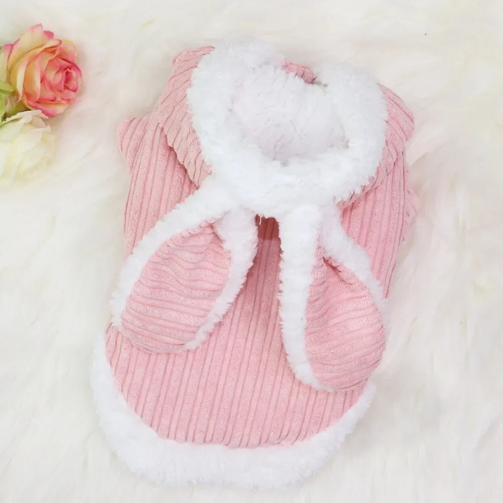Pet Autumn and Winter Clothes