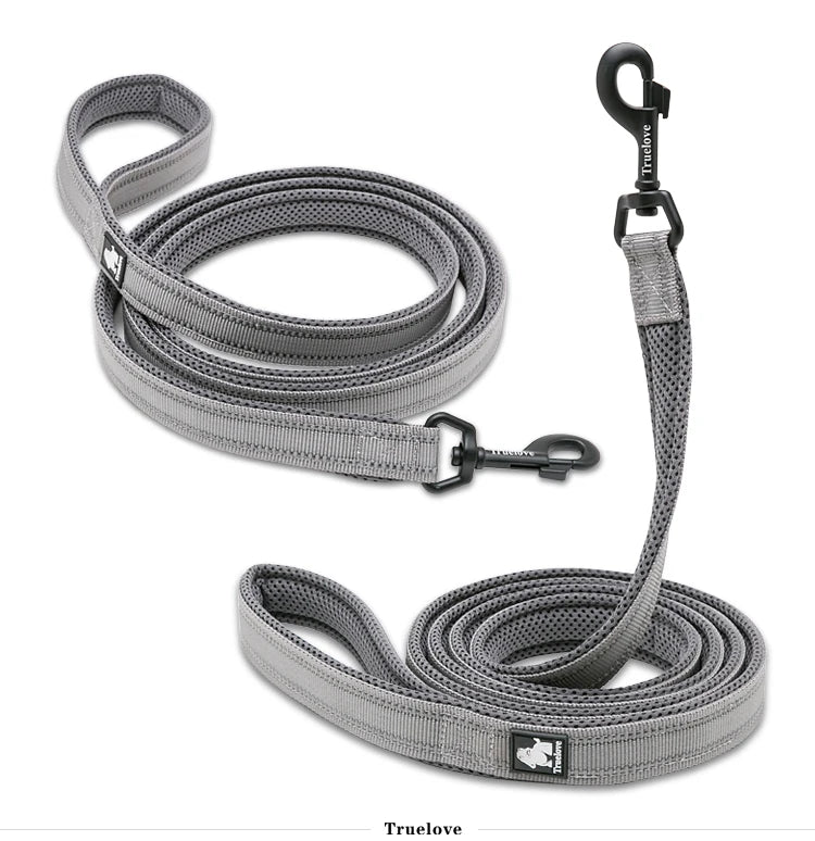 Dog Leash with Padded Handle