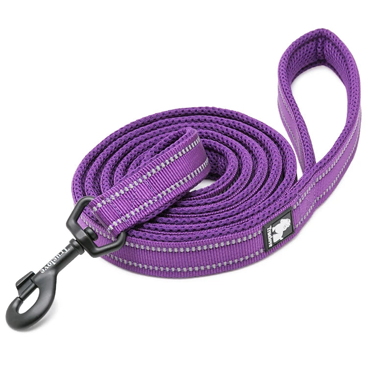 Dog Leash with Padded Handle