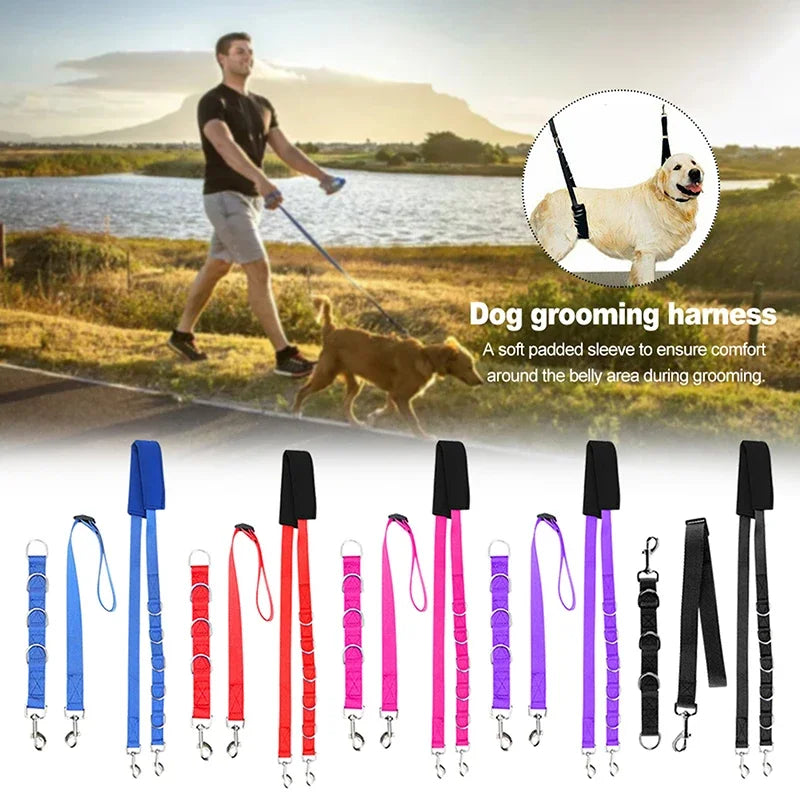 Harness Leads For Pet Grooming Table