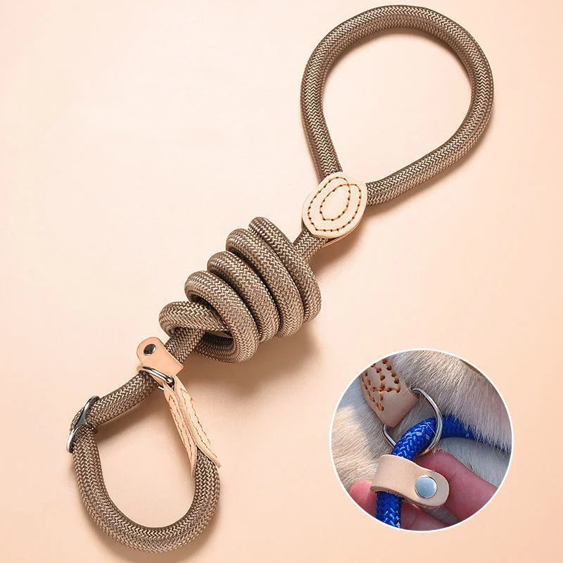 Adjustable Collar Harness Dog Leash