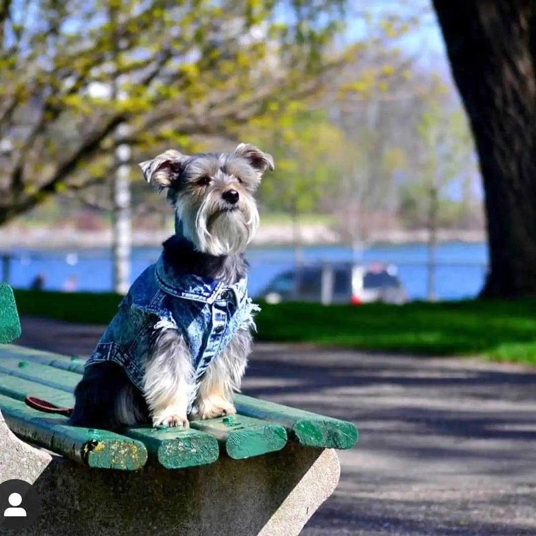 Pet Dog Jeans Jacket Denim Coats