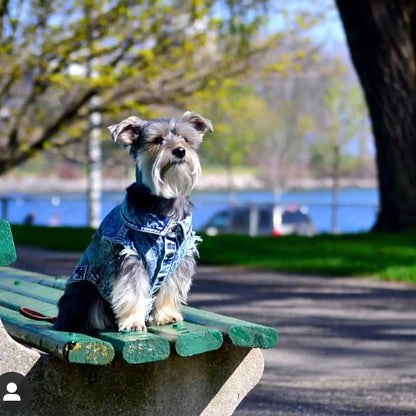 Pet Dog Jeans Jacket Denim Coats