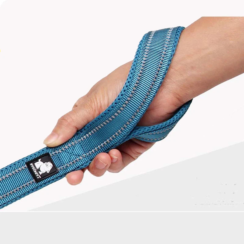 Dog Leash with Padded Handle