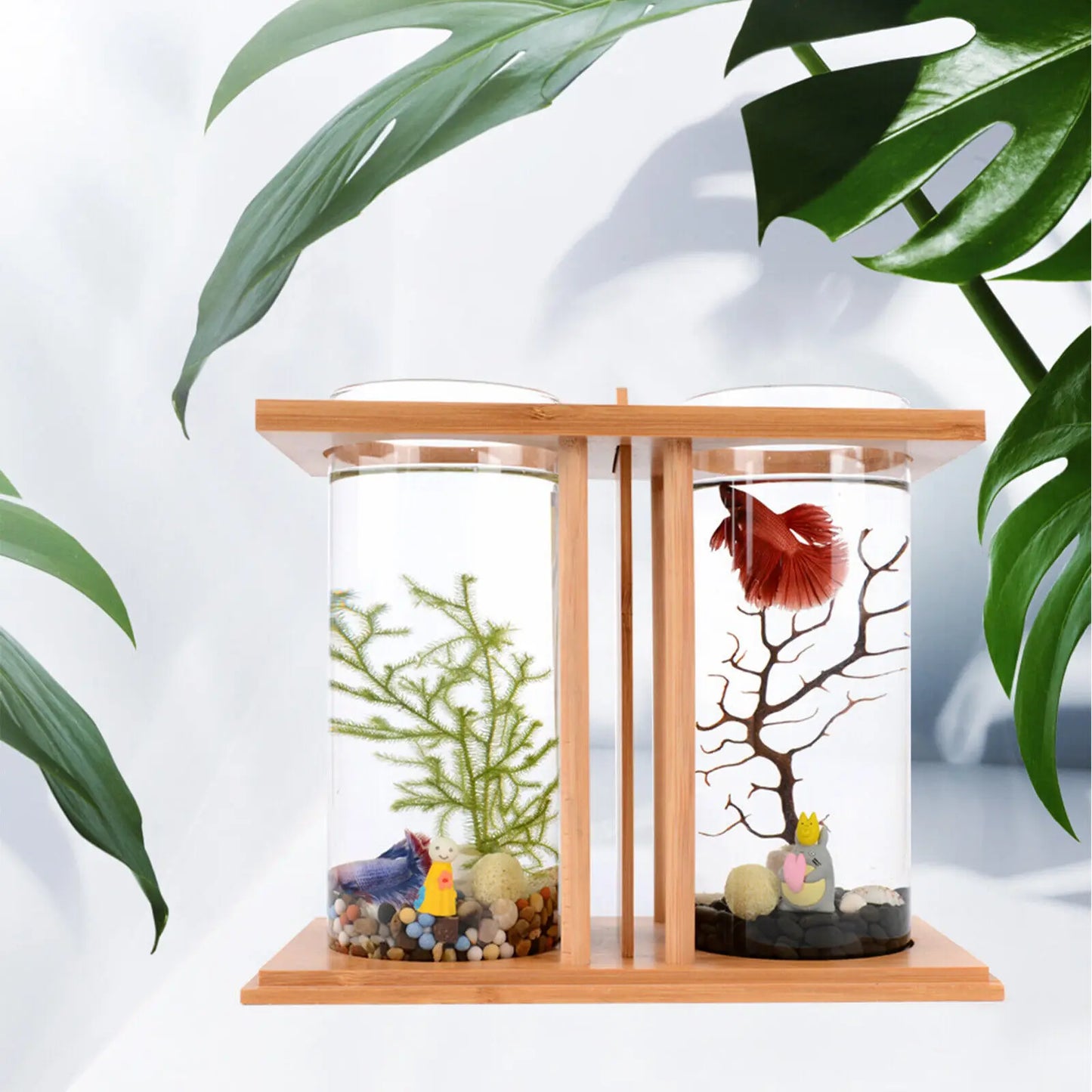 Betta Fish Tank LED Light Bamboo Base 2 Tanks