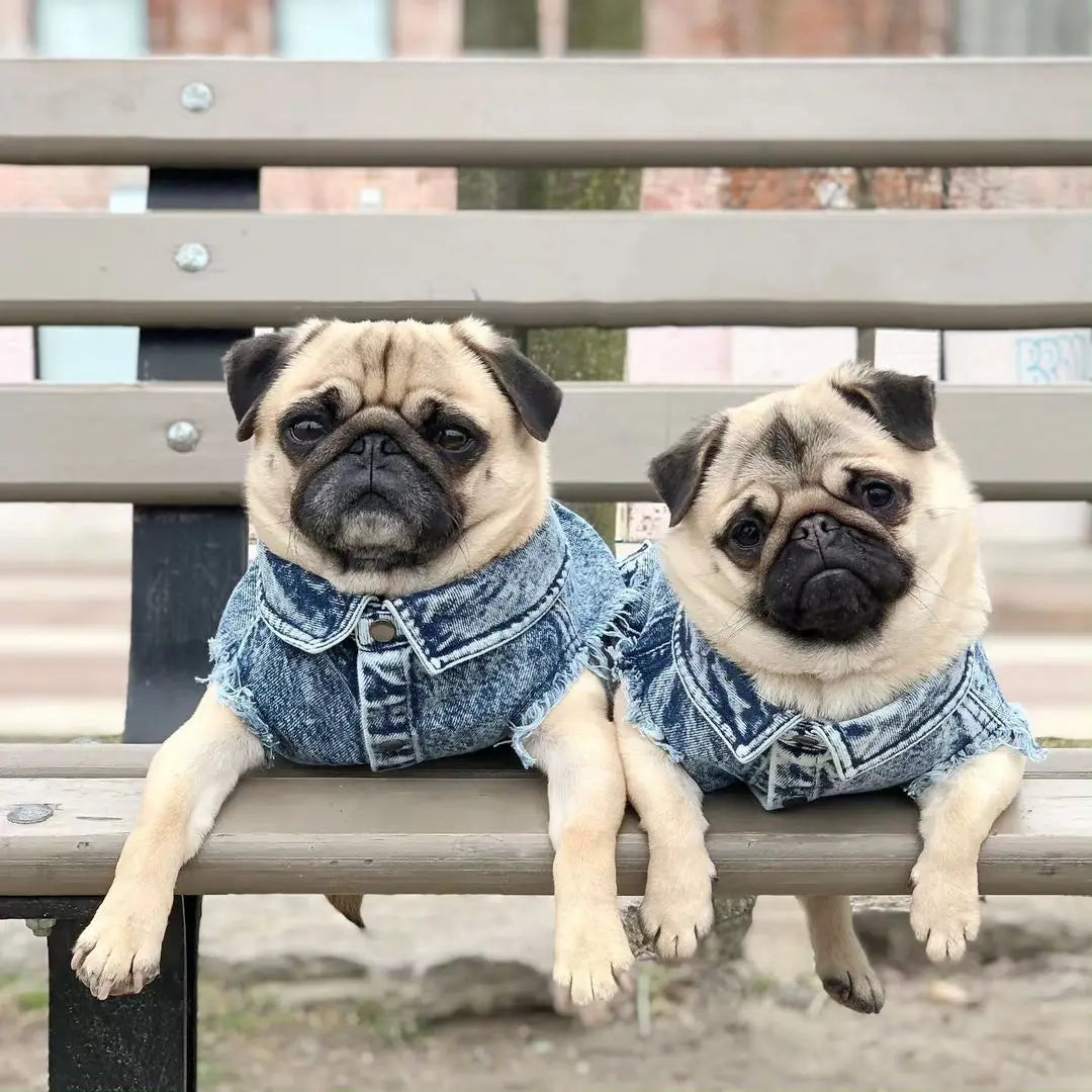 Pet Dog Jeans Jacket Denim Coats