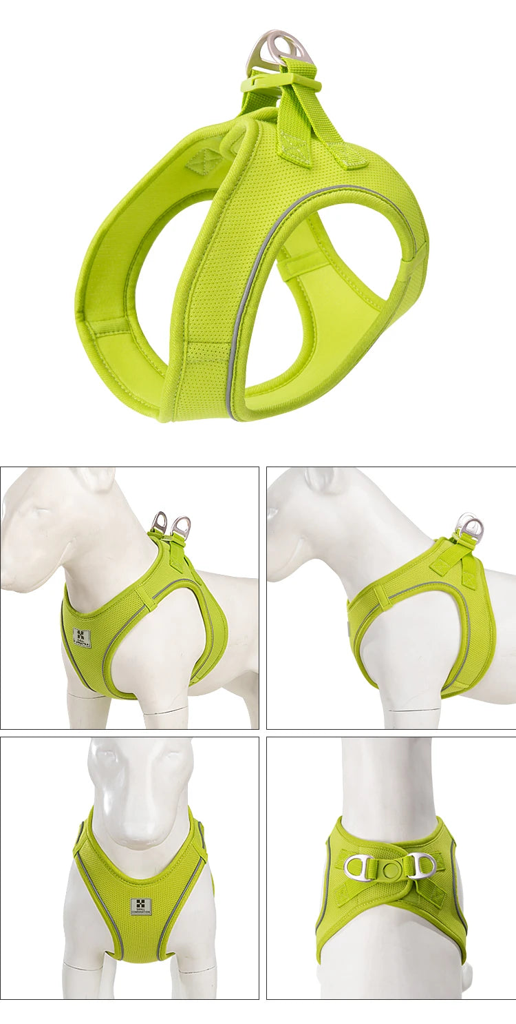 Dog Harness Leash Set