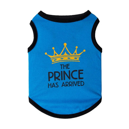 Summer Cotton Sphynx Cat T Shirt Vest
