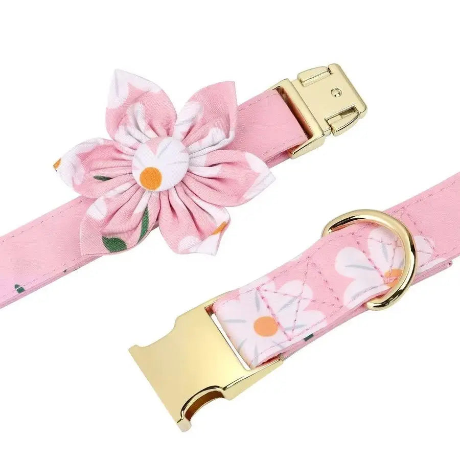Harnesses and Leash Set