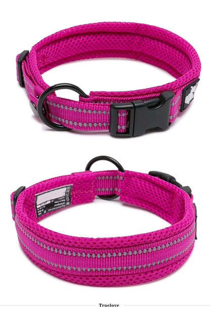 Dog Walking Collar