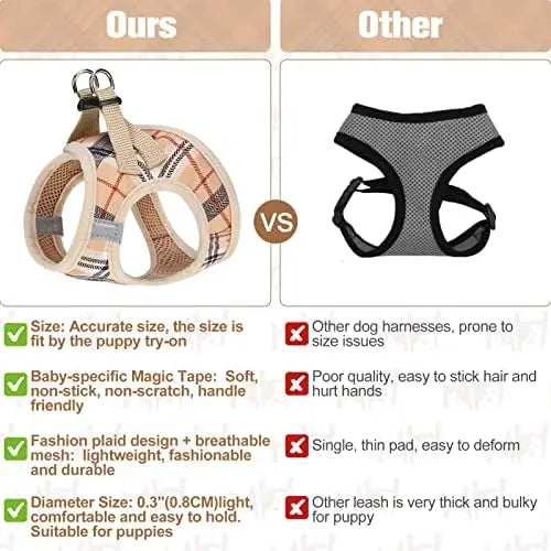 Safe Harness And Leash Set