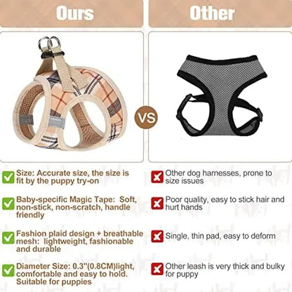 Safe Harness And Leash Set
