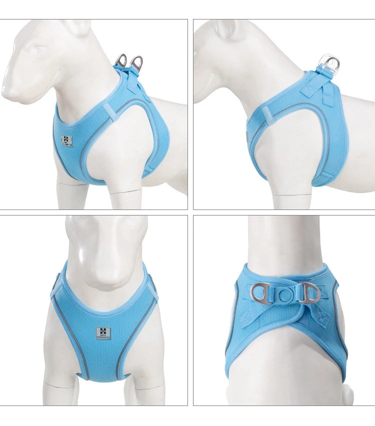 Dog Harness Leash Set