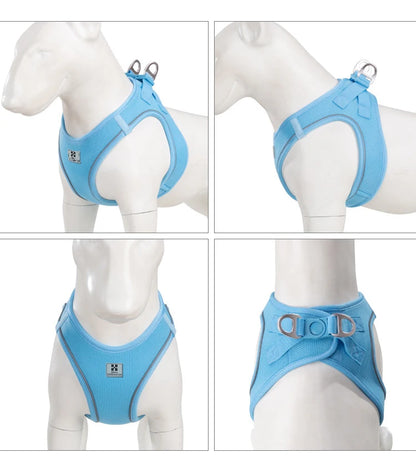 Dog Harness Leash Set
