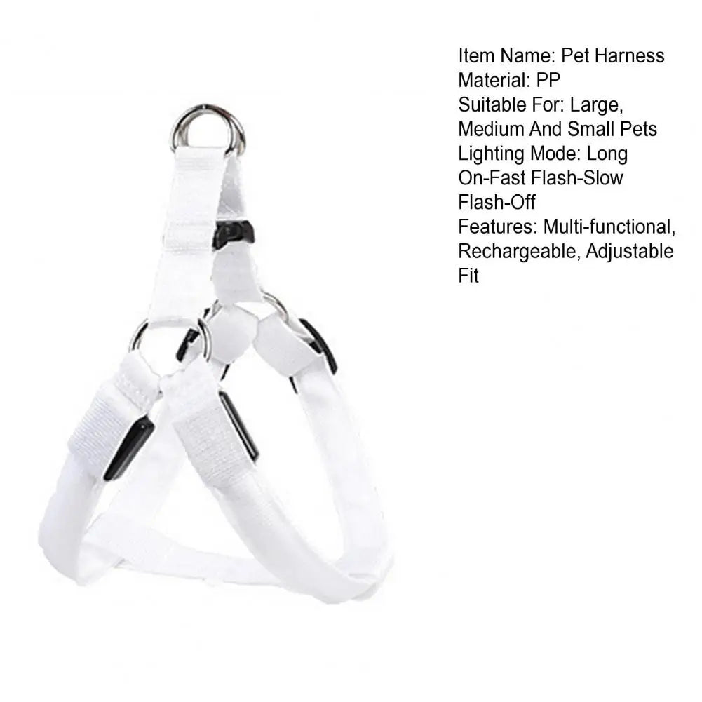 Harness USB Rechargeable