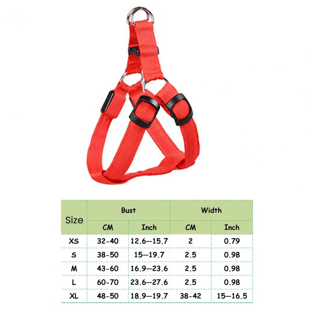 Harness USB Rechargeable