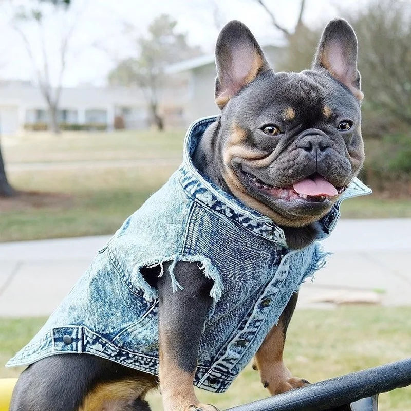 Pet Dog Jeans Jacket Denim Coats