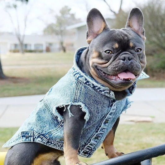 Pet Dog Jeans Jacket Denim Coats
