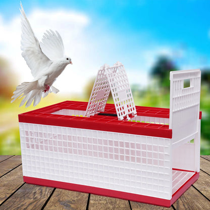 Foldable Pigeon Cage with Handle