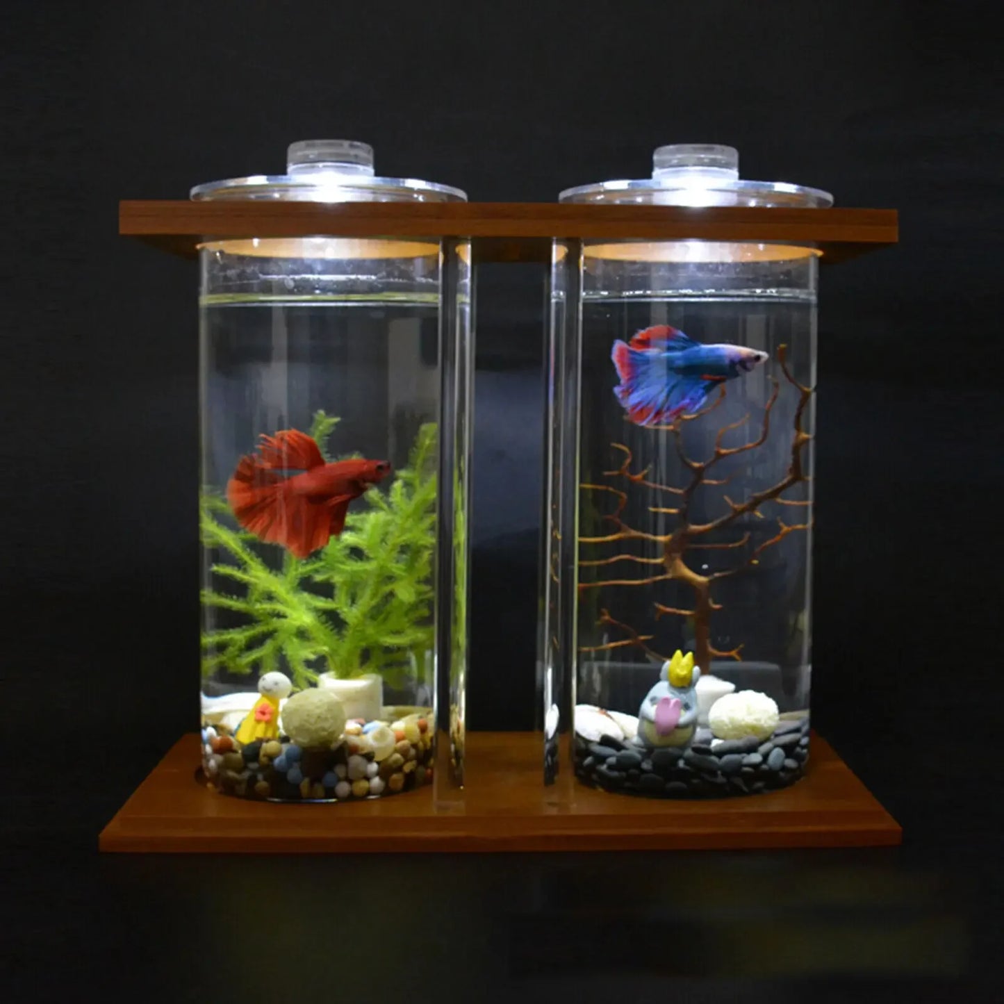 Betta Fish Tank LED Light Bamboo Base 2 Tanks