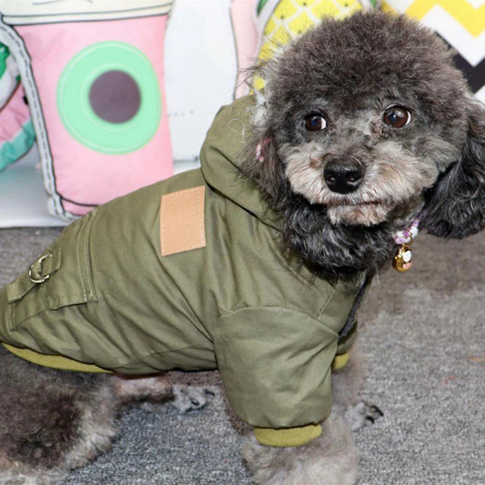 Pet Dog Jacket With Harness