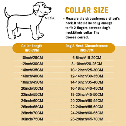 Stainless Chain Collar
