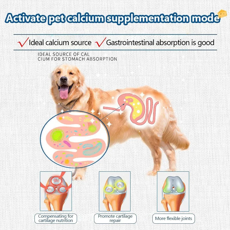 Pet Freeze-dried Food High Calcium Cheese