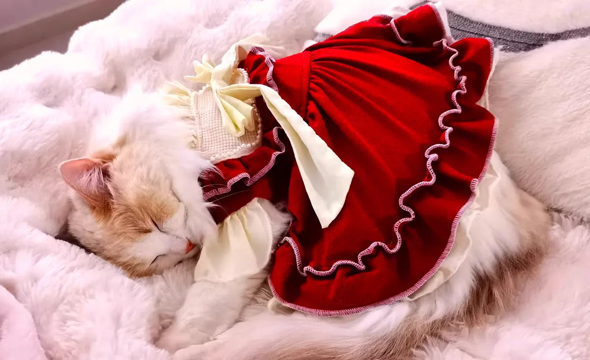 Bow Princess Skirt