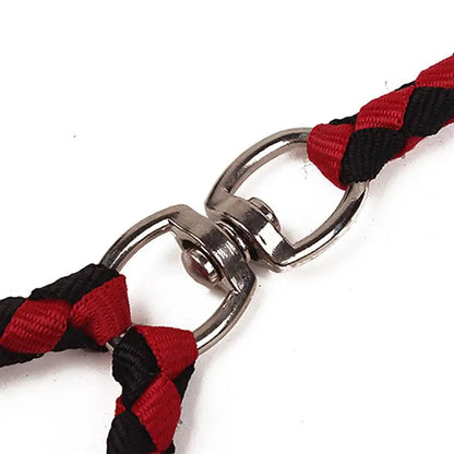 Training Double Dogs Leashes