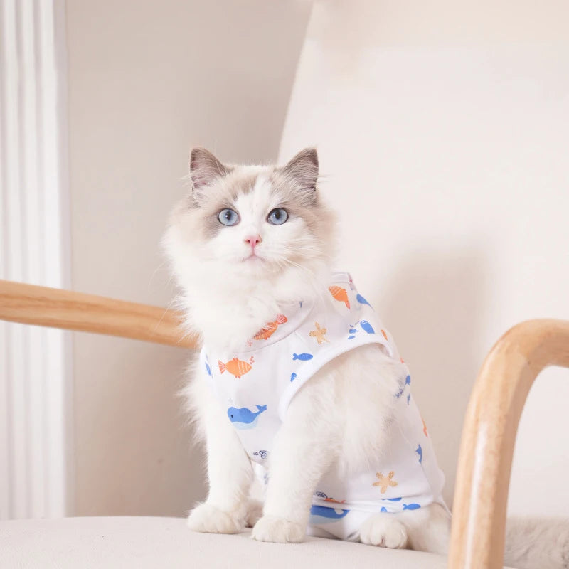 Pet Anti-licking Surgery Recovery Clothing