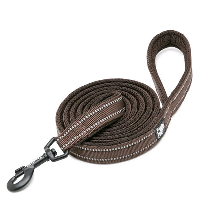 Dog Leash with Padded Handle
