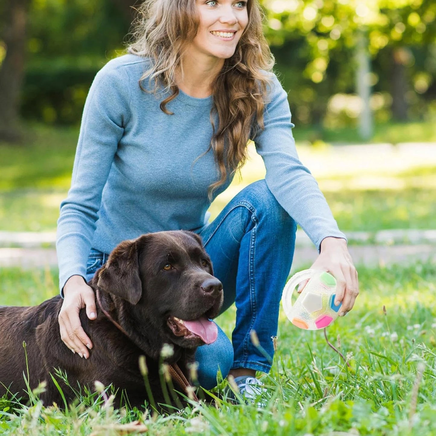 Dog Calming Ball