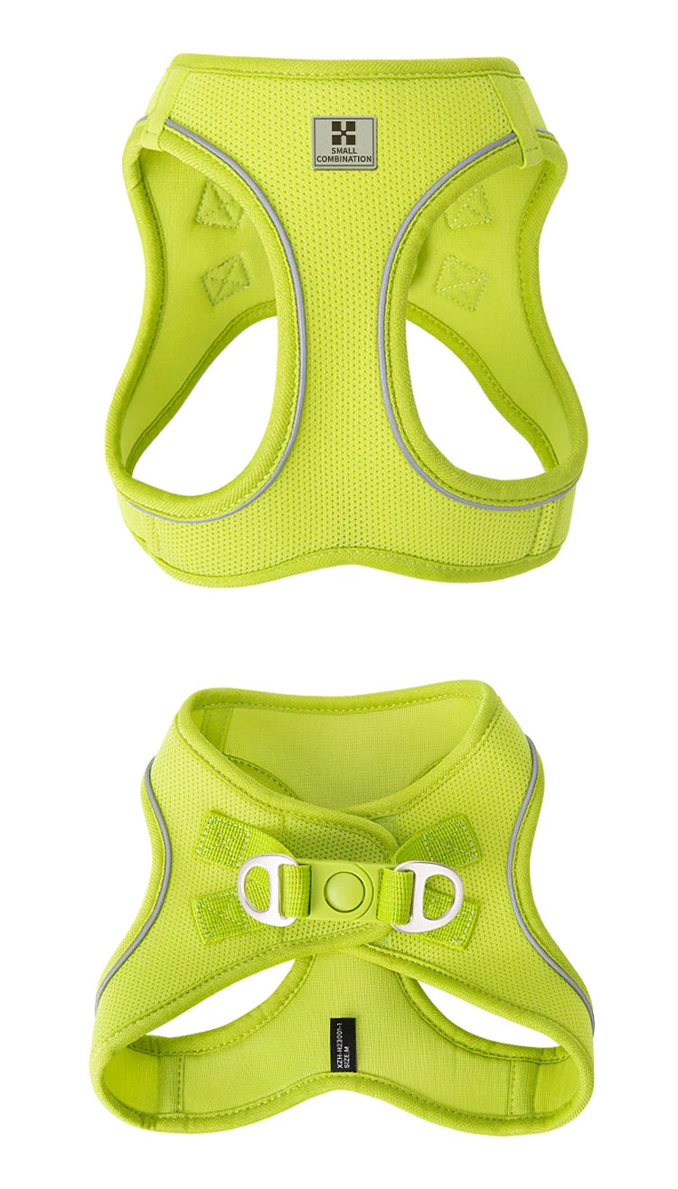 Dog Harness Leash Set