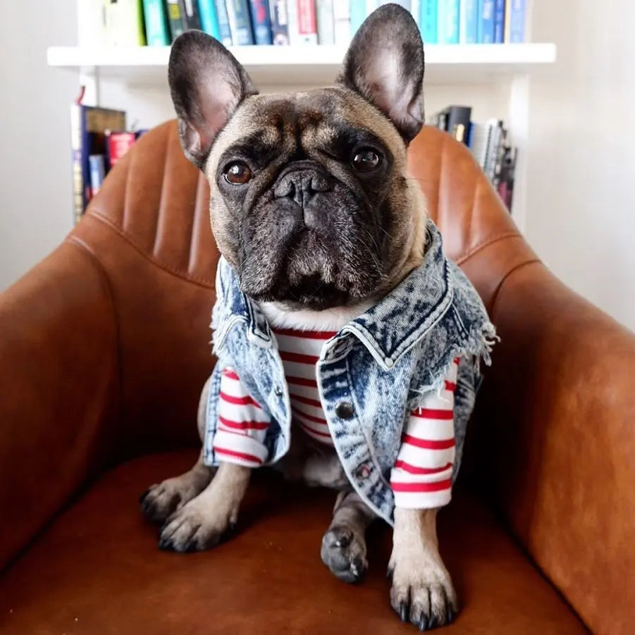 Pet Dog Jeans Jacket Denim Coats