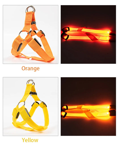 Adjustable LED Dog Harness