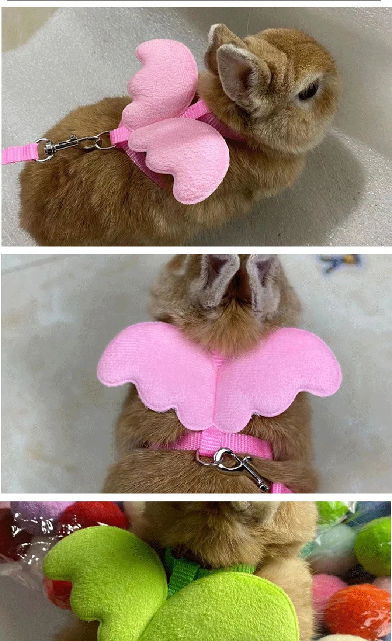 Pet Rabbit and Cat Harness and Leash Set