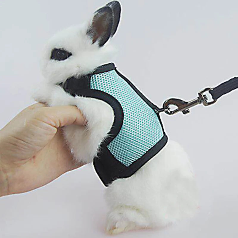 Small Mesh Harness/Leash