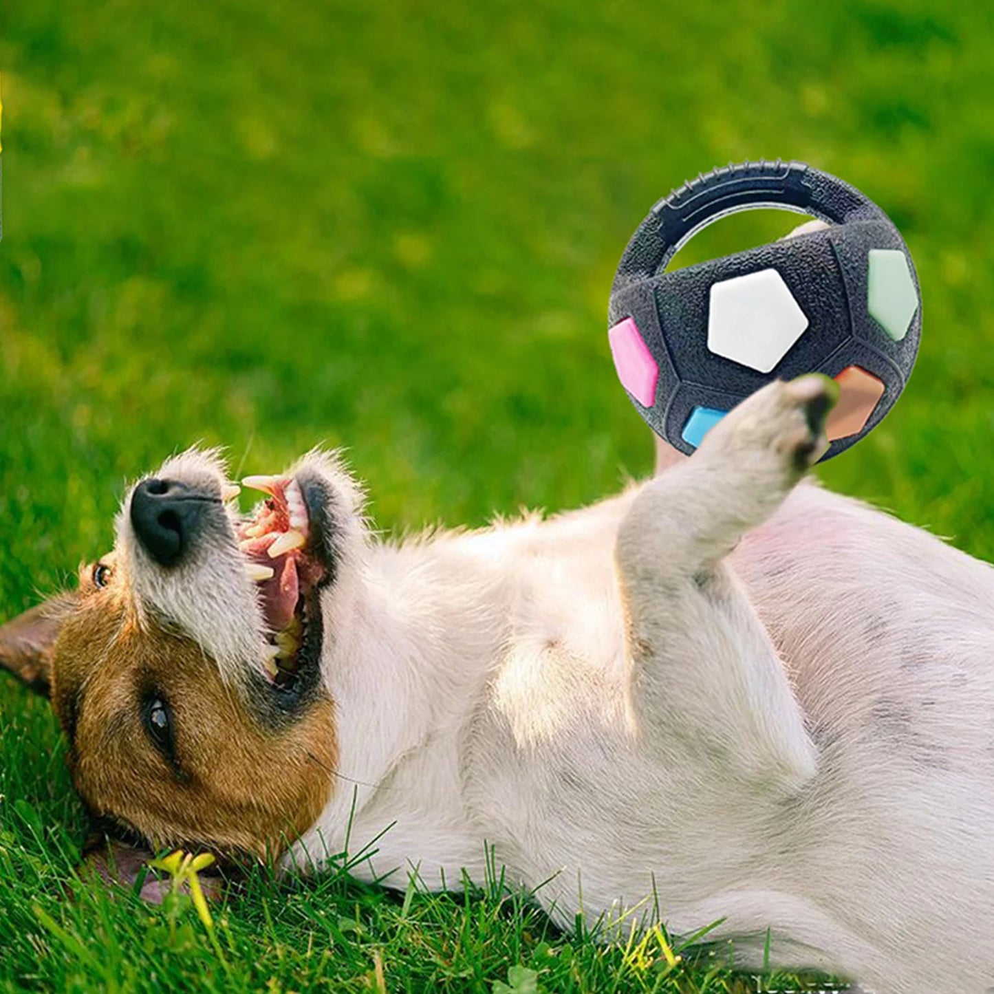 Dog Calming Ball