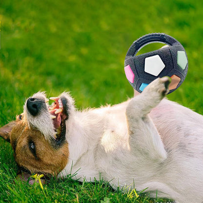 Dog Calming Ball
