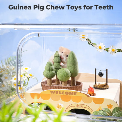 Natural Edible Guinea Pig/Rabbit Treats