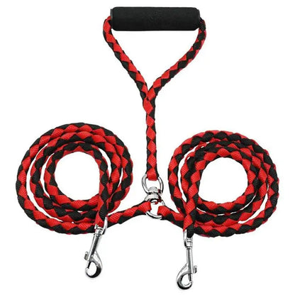 Training Double Dogs Leashes
