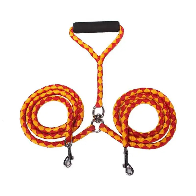 Training Double Dogs Leashes
