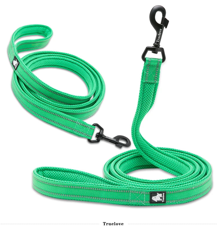 Dog Leash with Padded Handle
