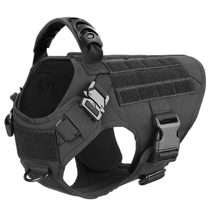 Large Dog Harness And Leash