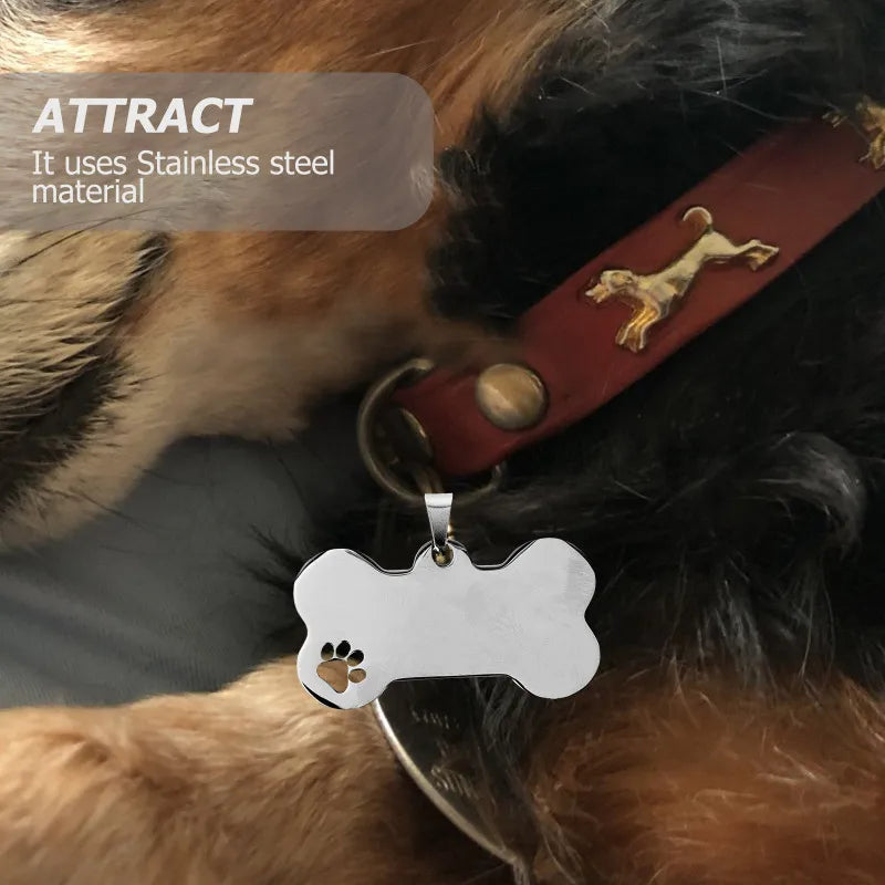 10 Pcs Stainless Steel Dog Tags