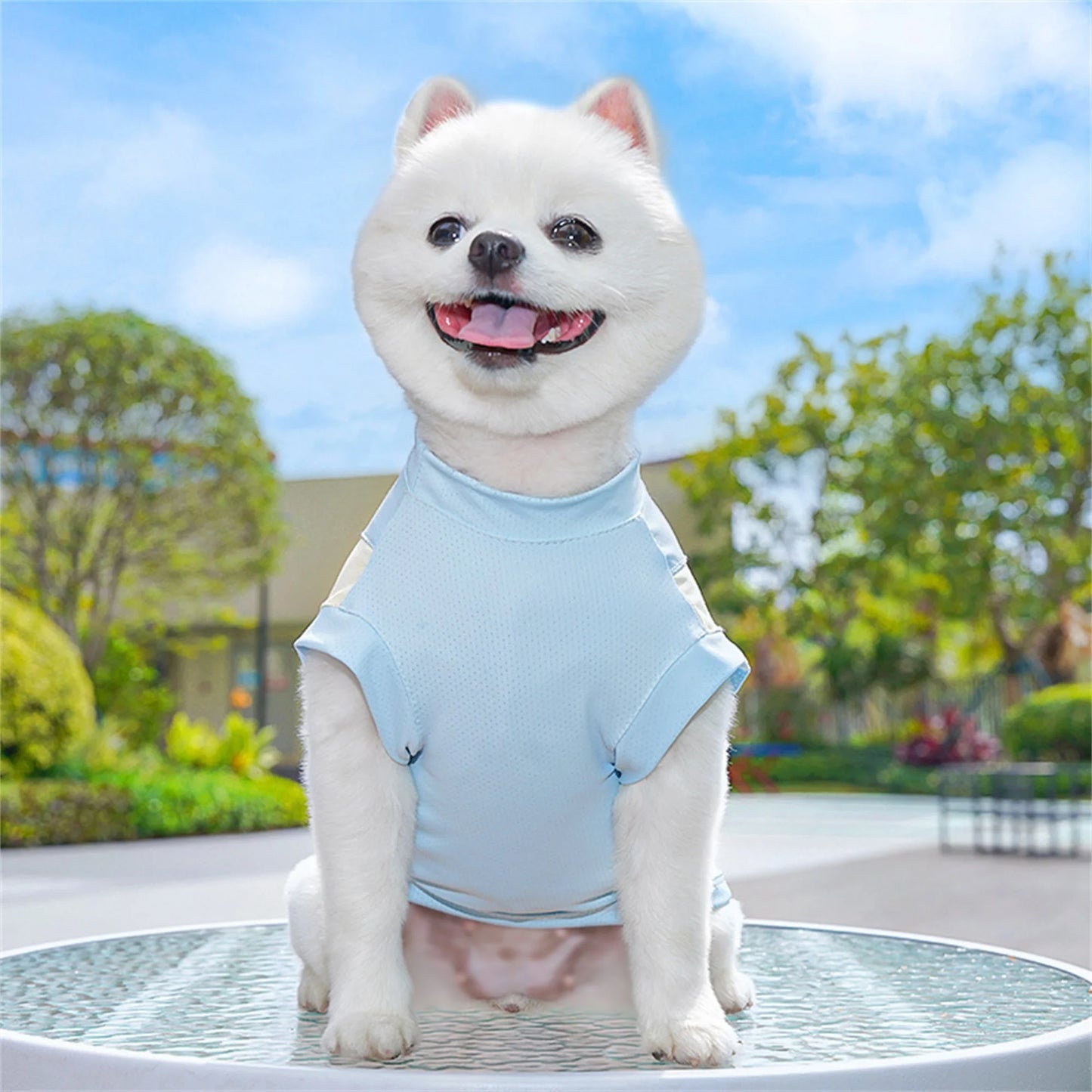 Breathable Cooling Dog T-Shirt