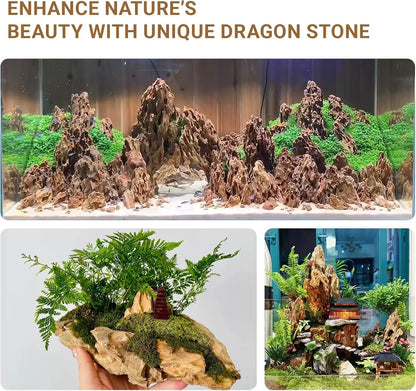 Dragon Stone Rocks for Aquarium Decor