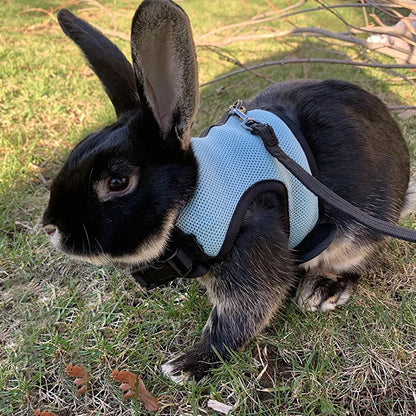 Small Mesh Harness/Leash